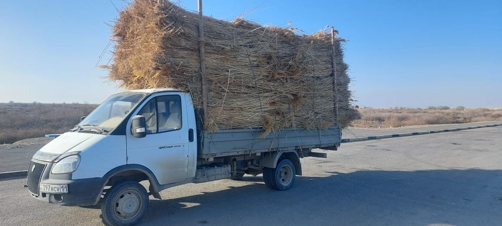 Құрылысқа, үйдің төбесін жабуға қамыс, сабан камыс бар.  
сабан 350 ,