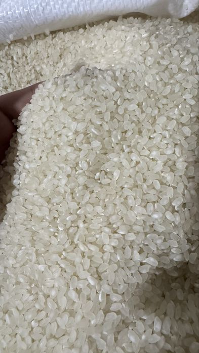 Guruch Nukus, Guliston, Lazer