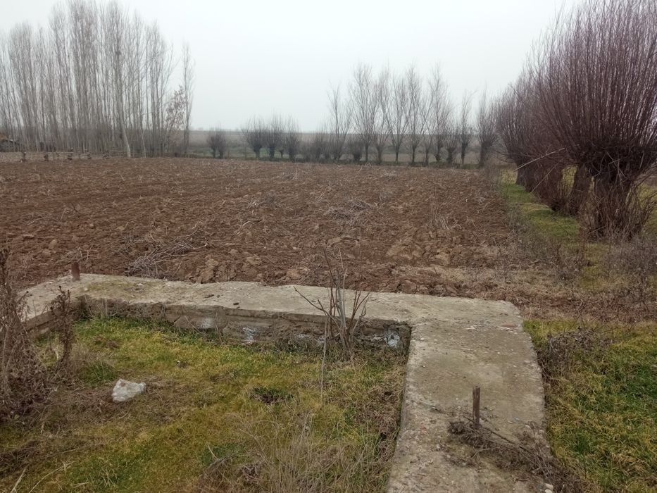 20 Soʻtix yer maydoni