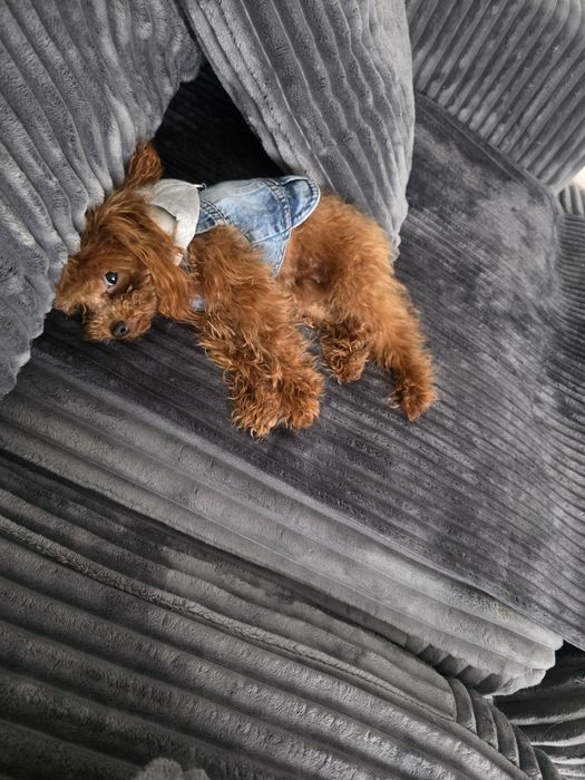 Тийкъп момиче на 1 година