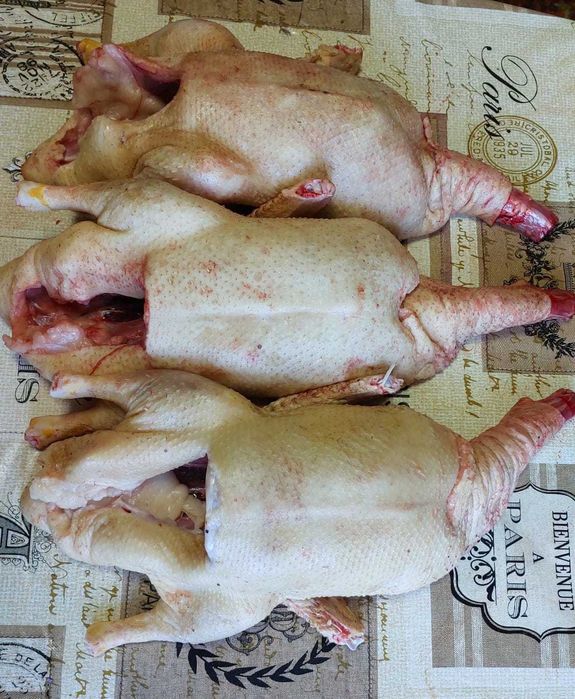 Продам уток мясом