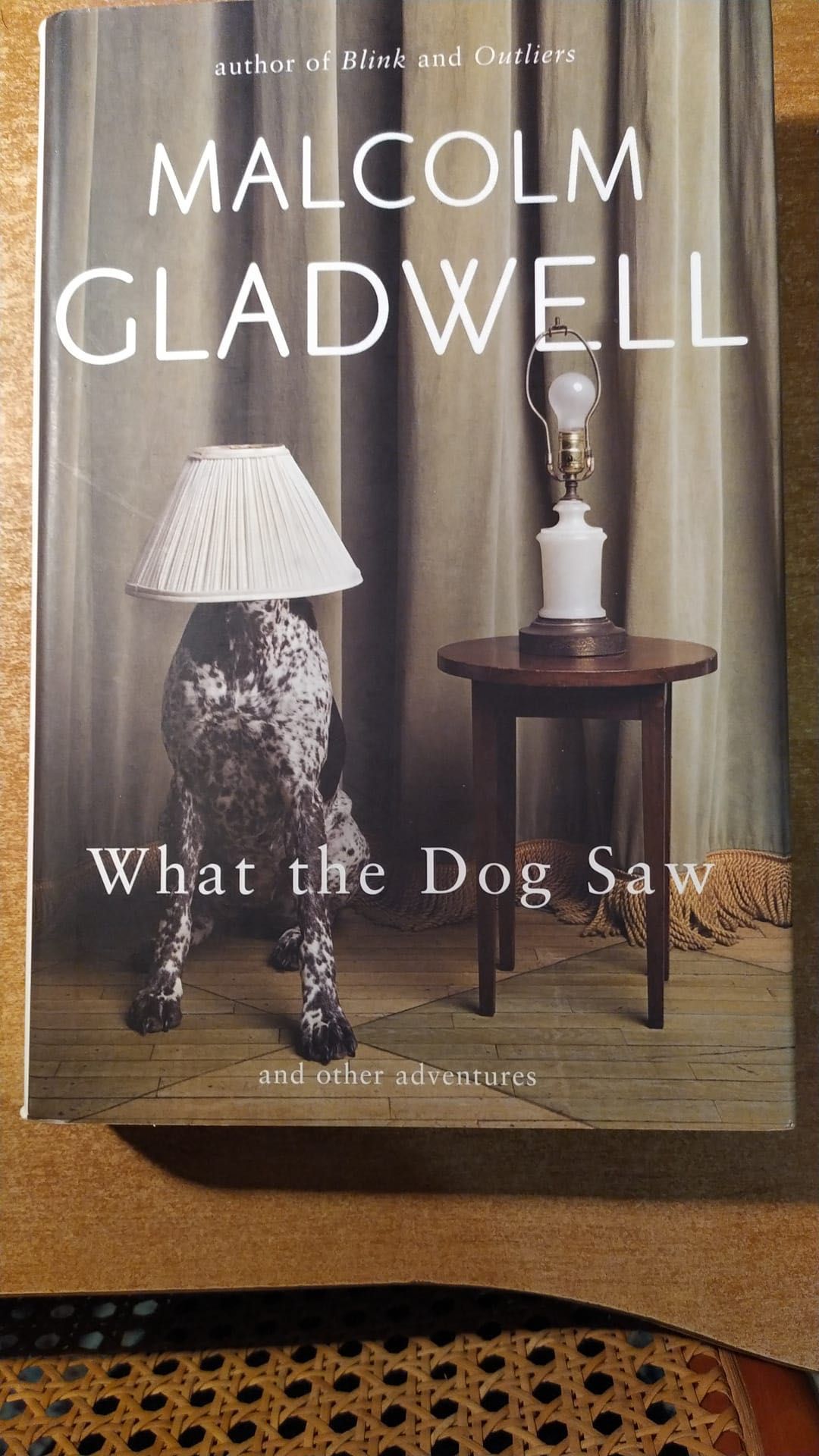 What the dog saw - Malcolm Gladwell