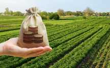 Продава се Земеделска Земя в общ. Дългопол – Рента и Авансово плащане