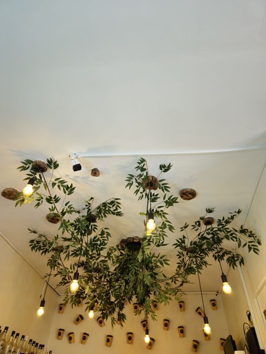 Люстра паук с лампами