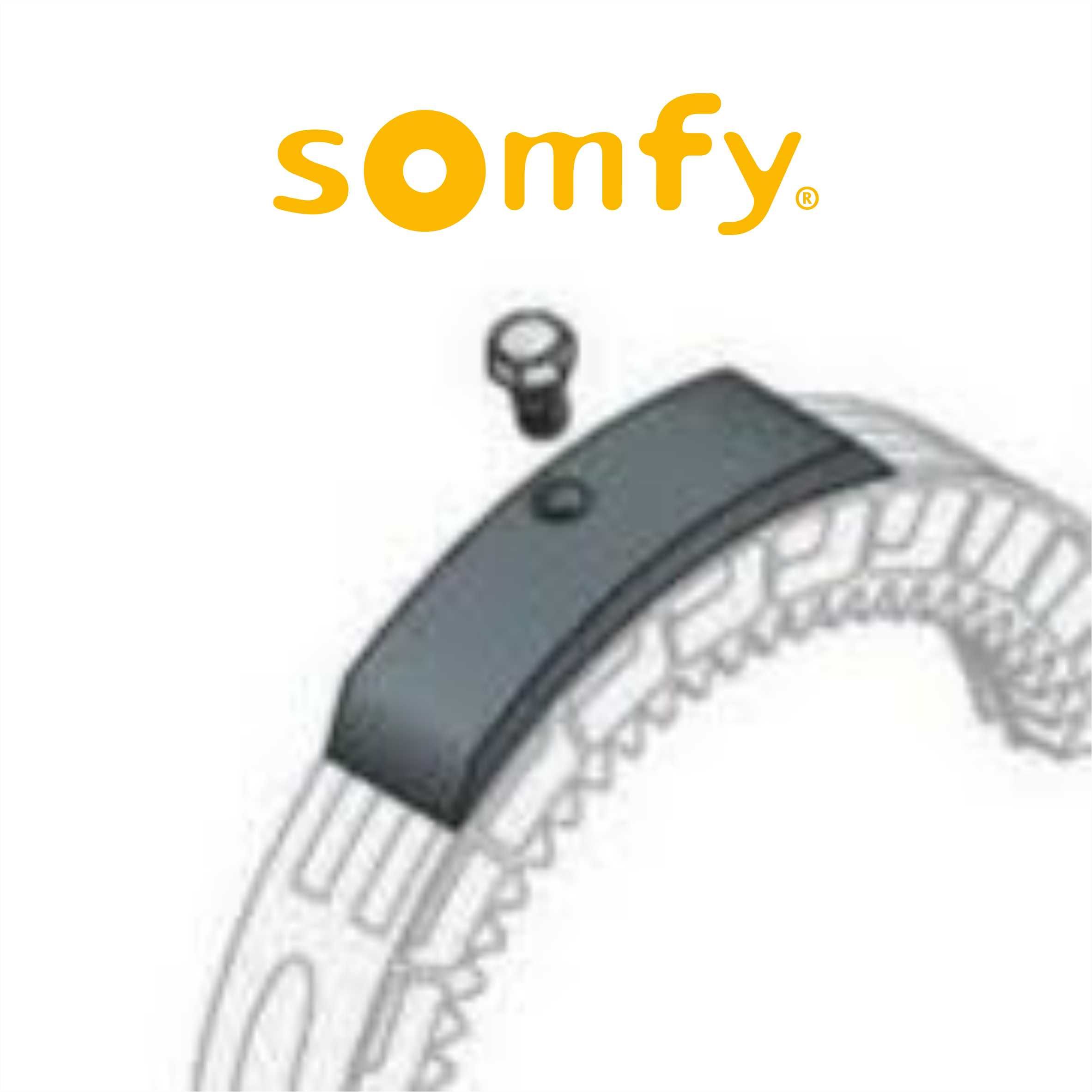 Централни мотори за охранителни ролетки Somfy Centreo