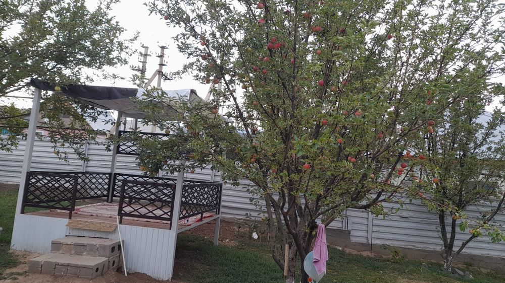 Продам срочно дом в Бесагаше.