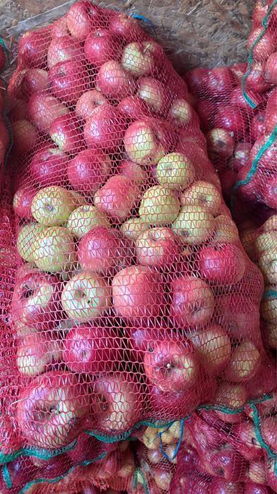 Vand mere pentru tuica