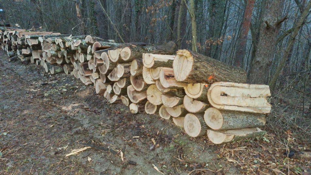 Дърва за огрев метрови и нарязани