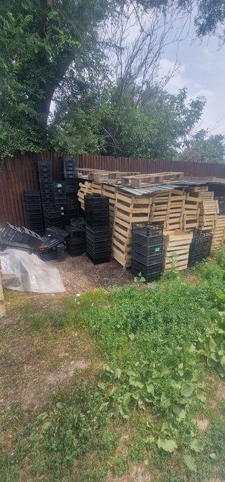 Продам ящики -  корзины.