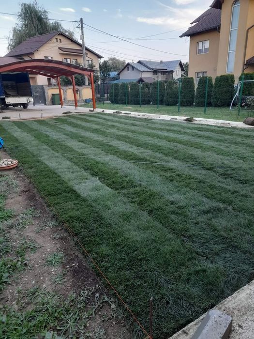 Rulouri de gazon piatra decorativa albă