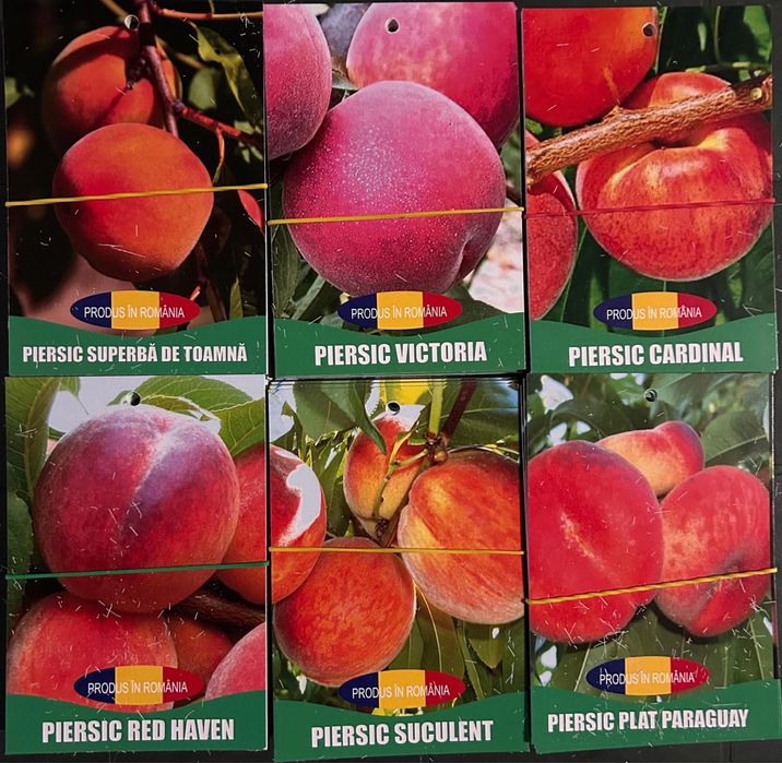 Pomi fructiferi certificati si ambalati