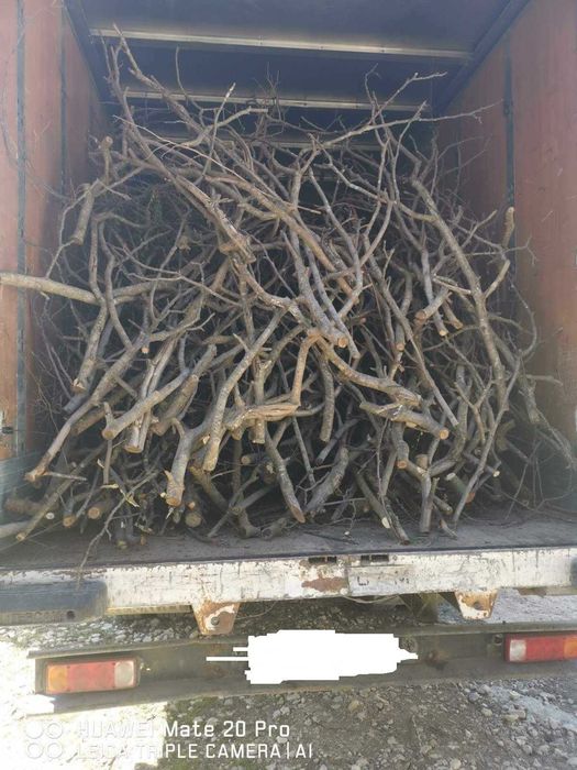 Изхвърляне на растителност 100-500лв (корени, храсти, клони и трева)