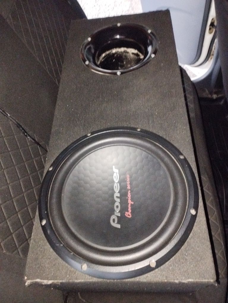 Pioneer chempion