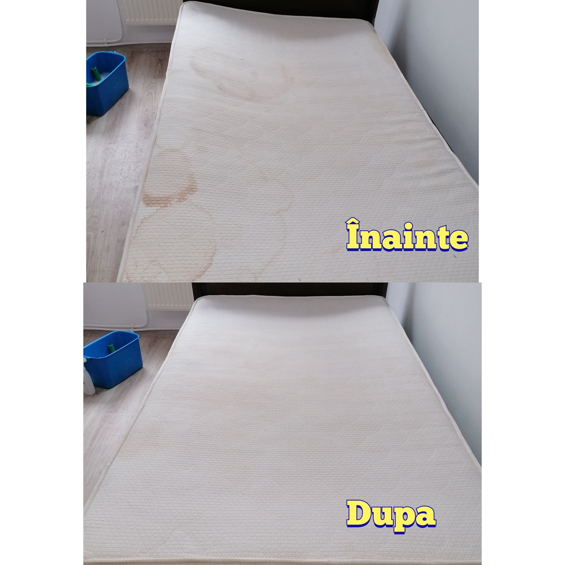 Curatare igienizare Canapele Saltele mocheta birou casa