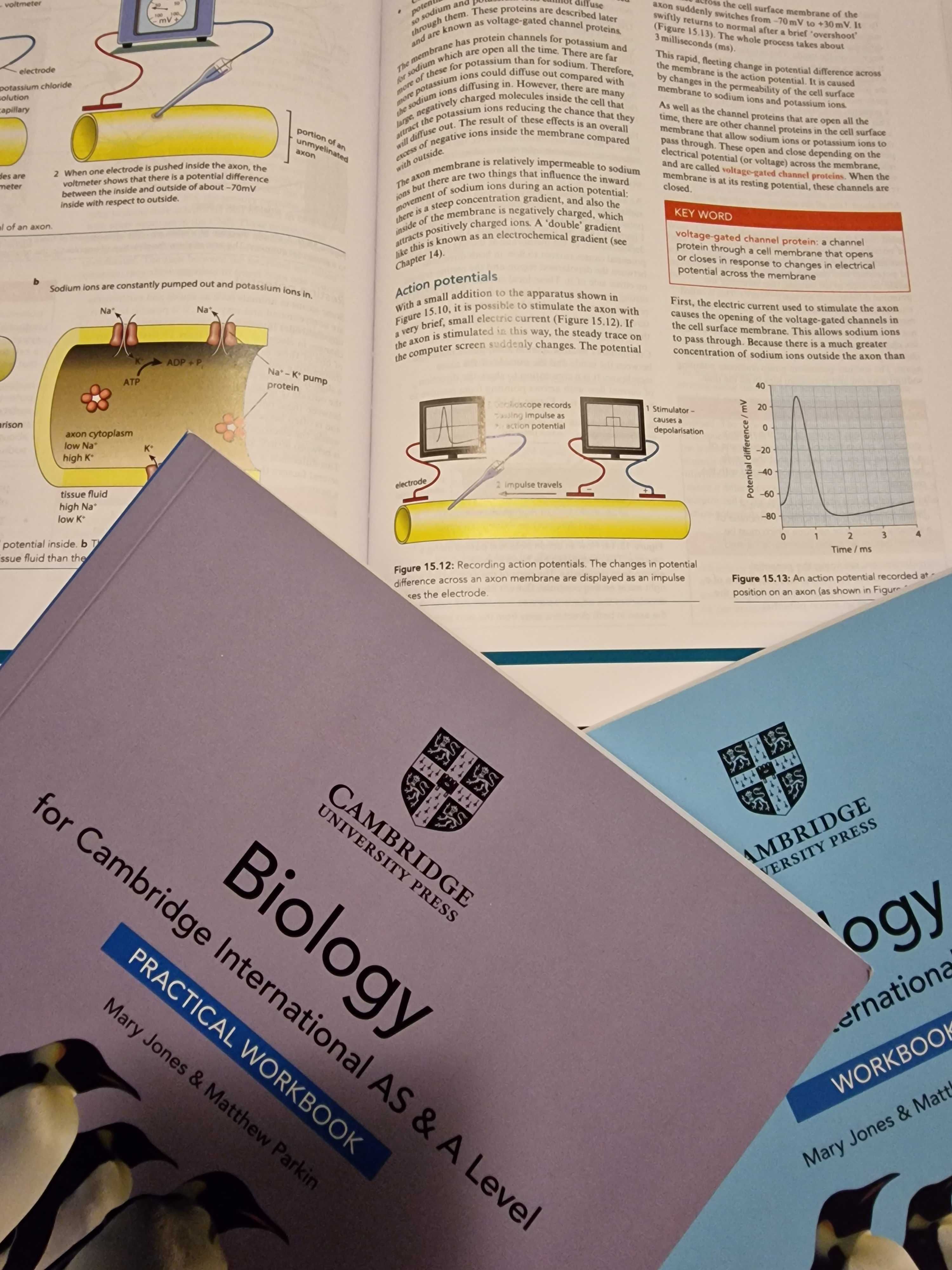 Cambridge AS & A Level Biology Coursebook/Workbook/Practical Workbook