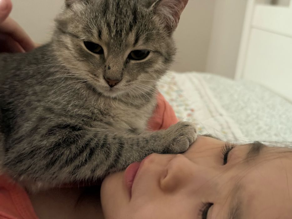 Отдам в хорошие руки