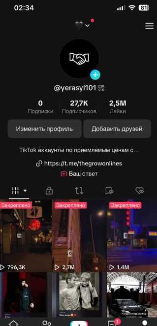 Tiktok аккаунт идеальный