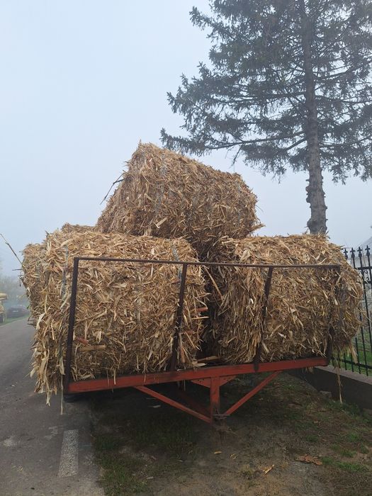 Baloți coceni după teren irigat