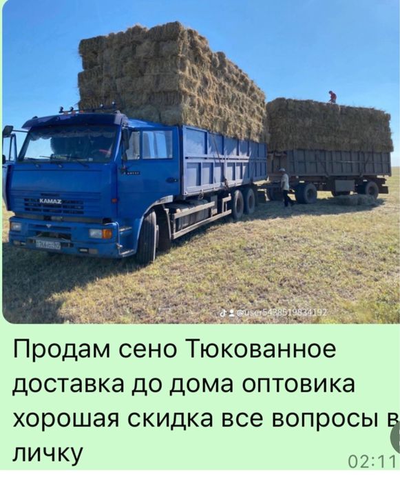 Продам зеленное сено под жатки