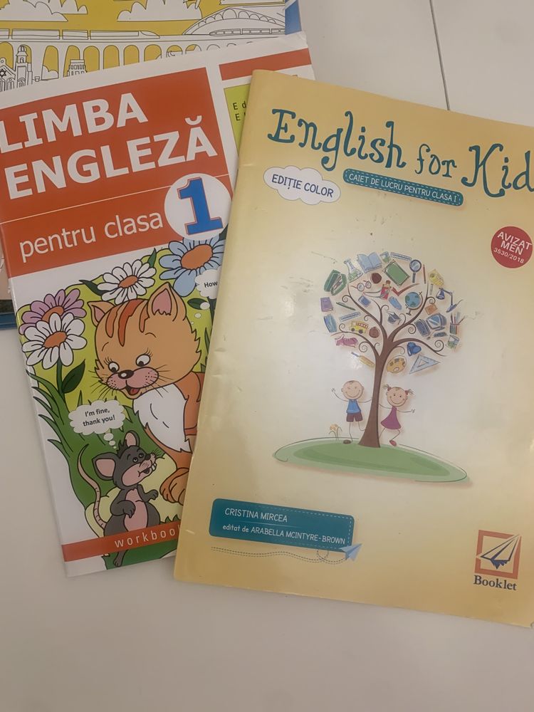 Carti engleza pentru clasa intai