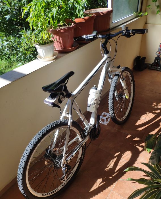 Drag zx4 Team edition