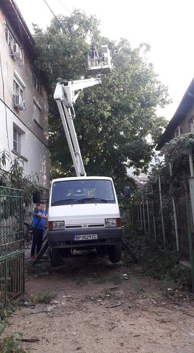 Рязане; кастрене; премахване на опасни дървета с автовишка ( вишка )!