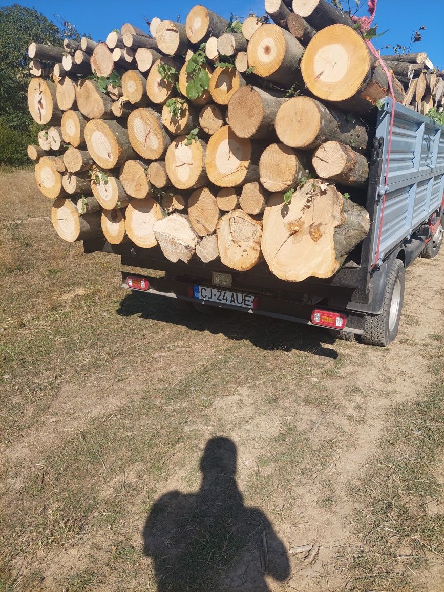 Lemn de foc esenta dorita