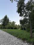 Teren extravilan de vanzare in Breb