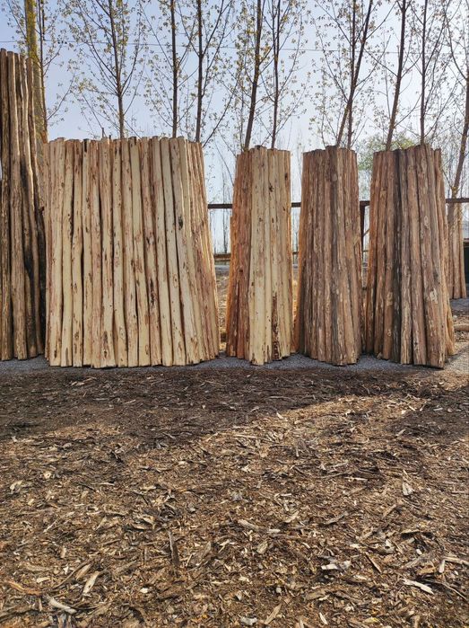 Terak, somon pres somon mayda, qamish sotiladi