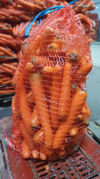 Vand morcovi spalati si nespalati