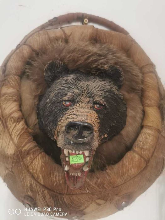 Tabloui cap de urs cu tenta indiana