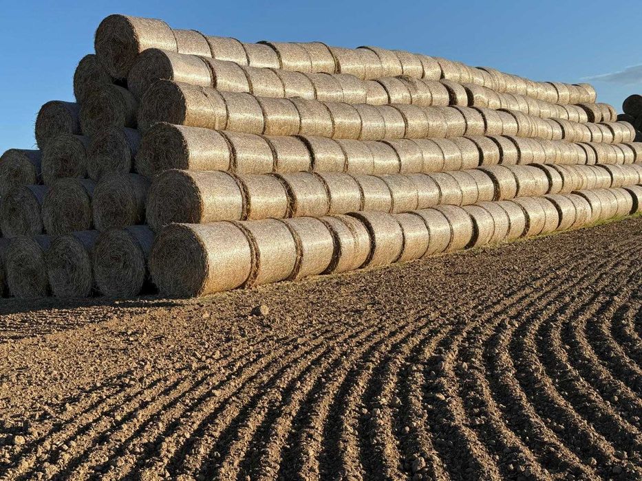 Baloti paie de orz/triticale