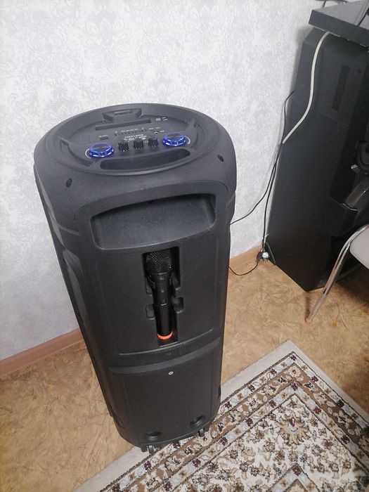 Колонка без проводная