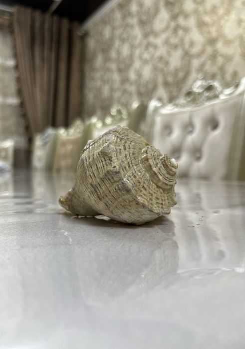 Аквариум аксессурлари