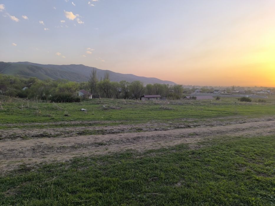 Сдам в аренду участок для посева