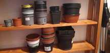 Ghivece de plastic, diverse dimensiuni, total 60 buc