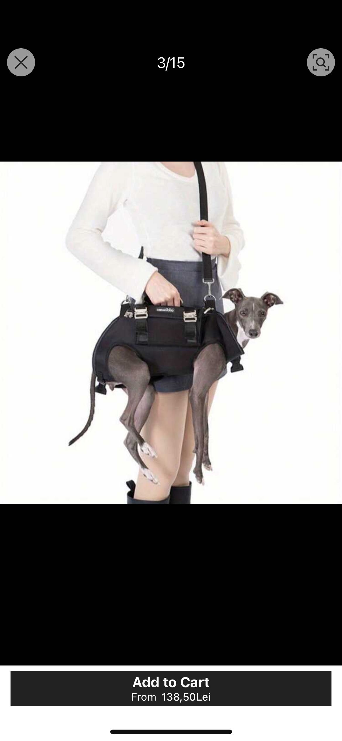 Rucsac+ham+ lesa,pentru catei!!Marimea L,dar este pentru un M.