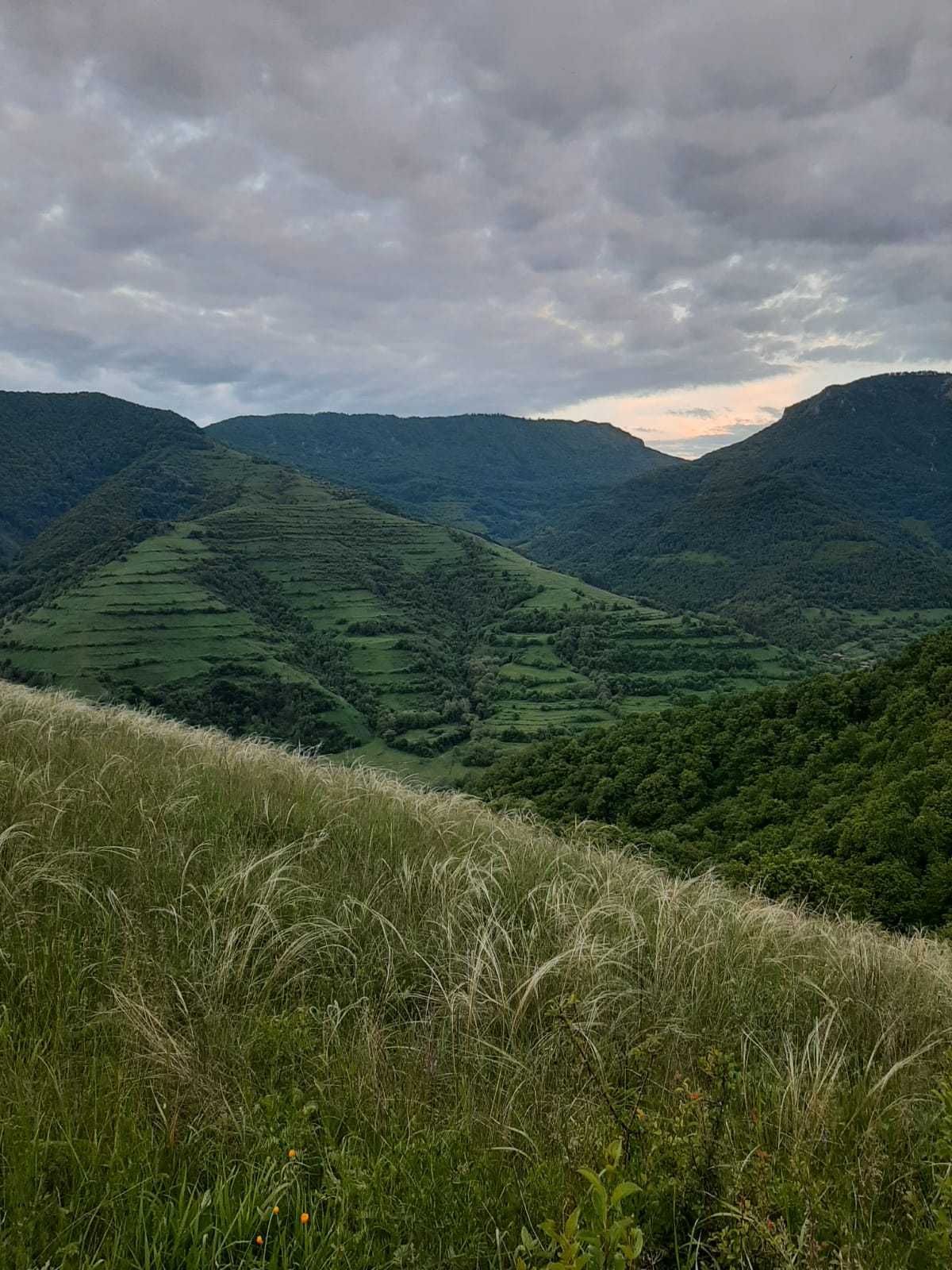 Vand teren extravilan cu CF