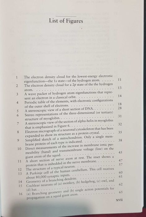 Stairway to the Mind. The Controversial New Science of Consciousness