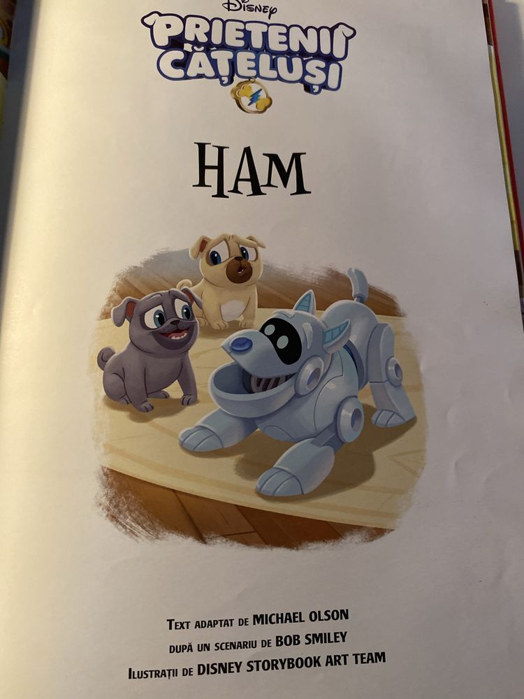 3 carti Disney Prietenii Catelusi Zootropolis Regele Leu