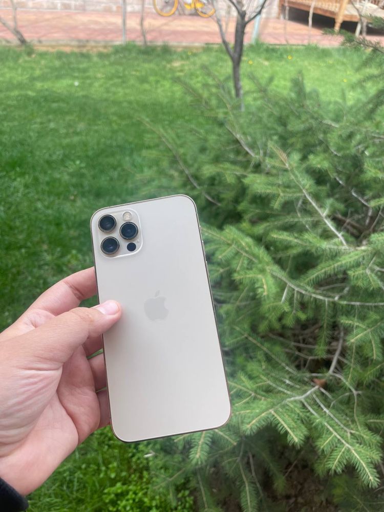 Iphone 12 pro ideal