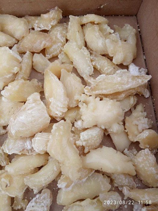 Каврак уруглар шираси сотилади