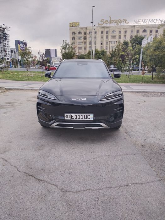 Byd song plus champion 2024