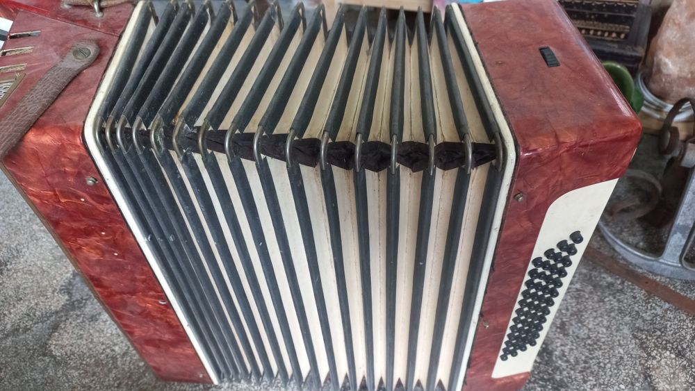Acordeon romanesc Timis