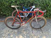 Cursiera Olmo Super Gentleman