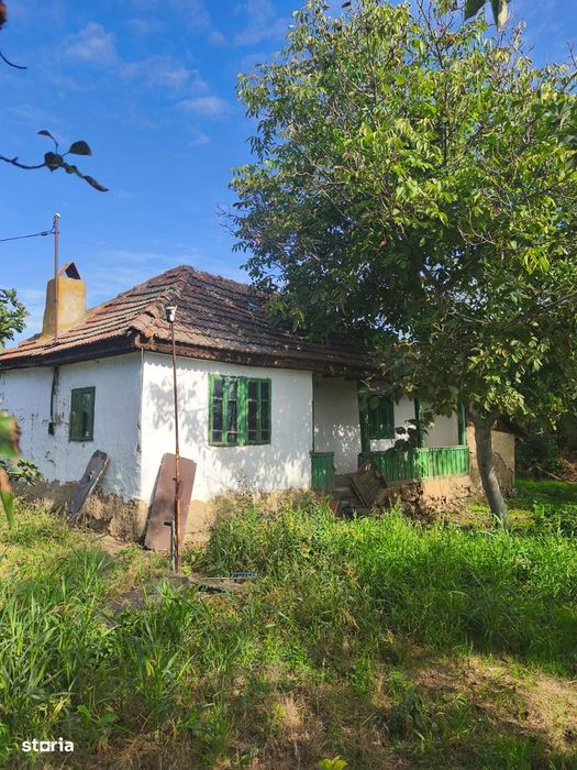 Intravilan 1.350m cu casă locuibilă temporar, ideal pentru construcție