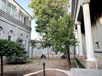 Мирабадский район 5 соток
Ул. Ивлиева 
Дом