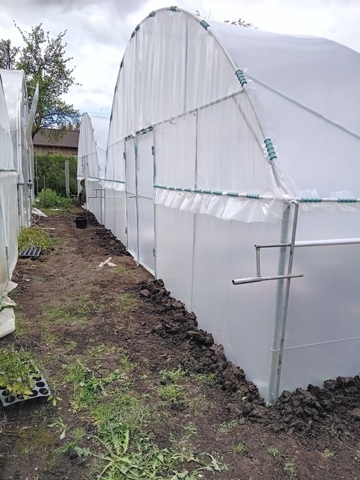 Solare si sere legume