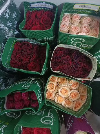 Оптом цветы,розы из Эквадора