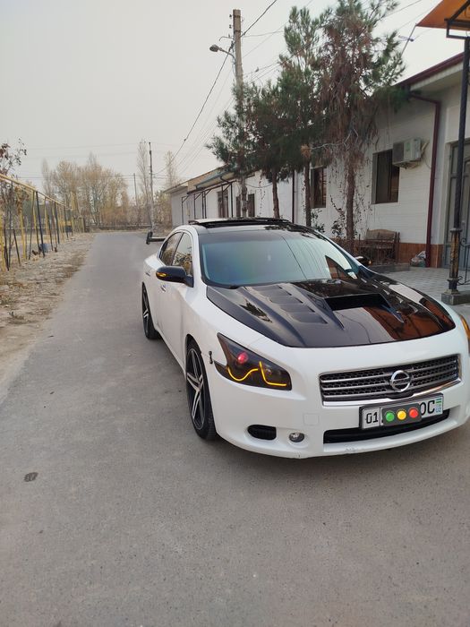 Nissan maxima  Amerika